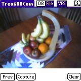 Sample app with photo captured by Treo600Camera