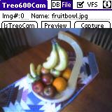 Sample app with photo captured by Treo600 camera