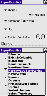 Sample Application showing droplist popped up in bold font